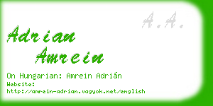 adrian amrein business card