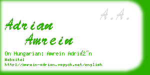 adrian amrein business card